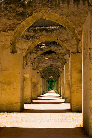 Arches